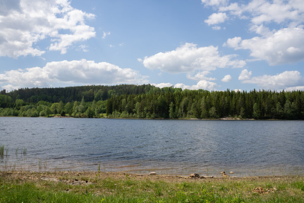 Utsikt över sjö. Foto.
