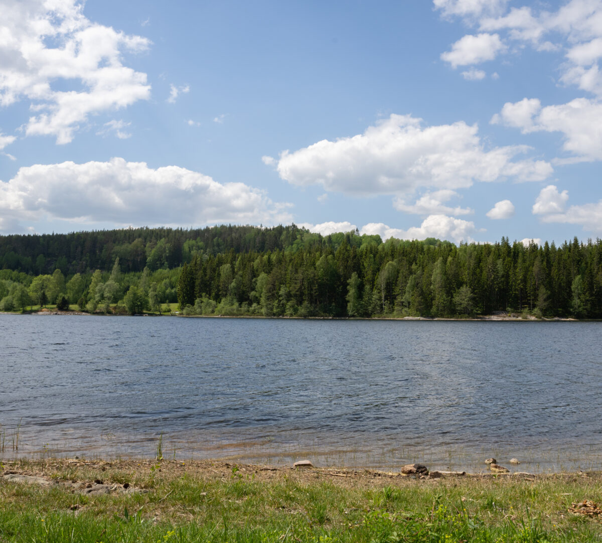 Utsikt över sjö. Foto.