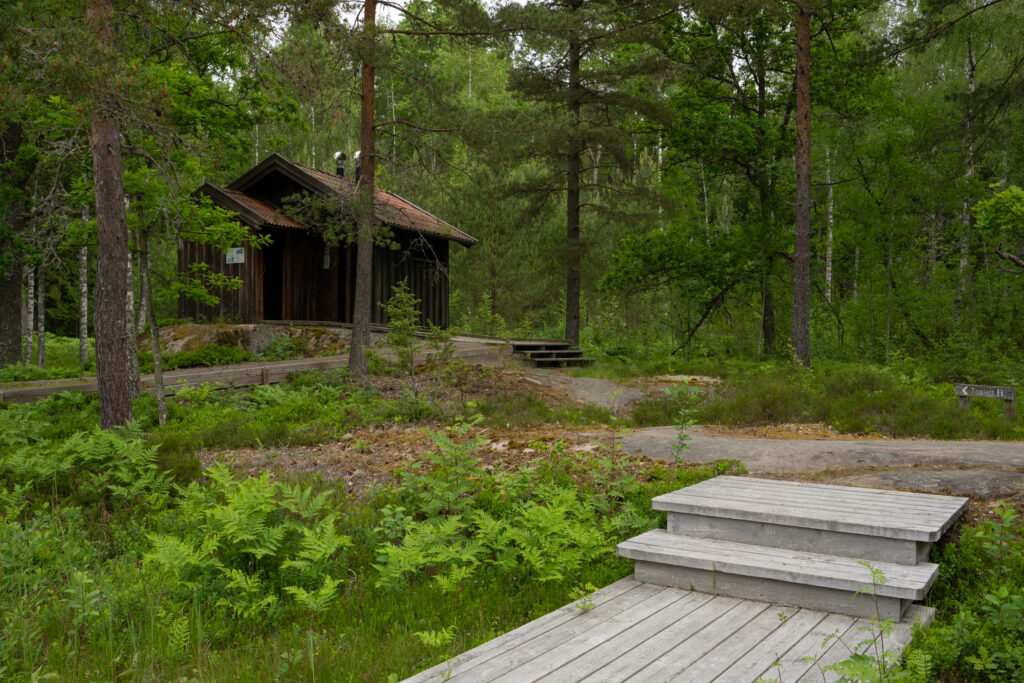Byggnad i skogen och breda trappsteg i förgrunden. Foto
