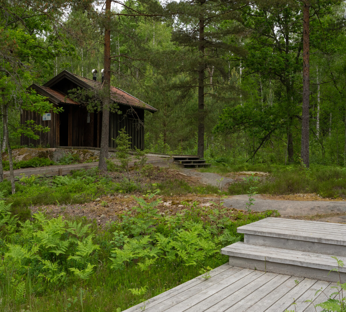 Byggnad i skogen och breda trappsteg i förgrunden. Foto