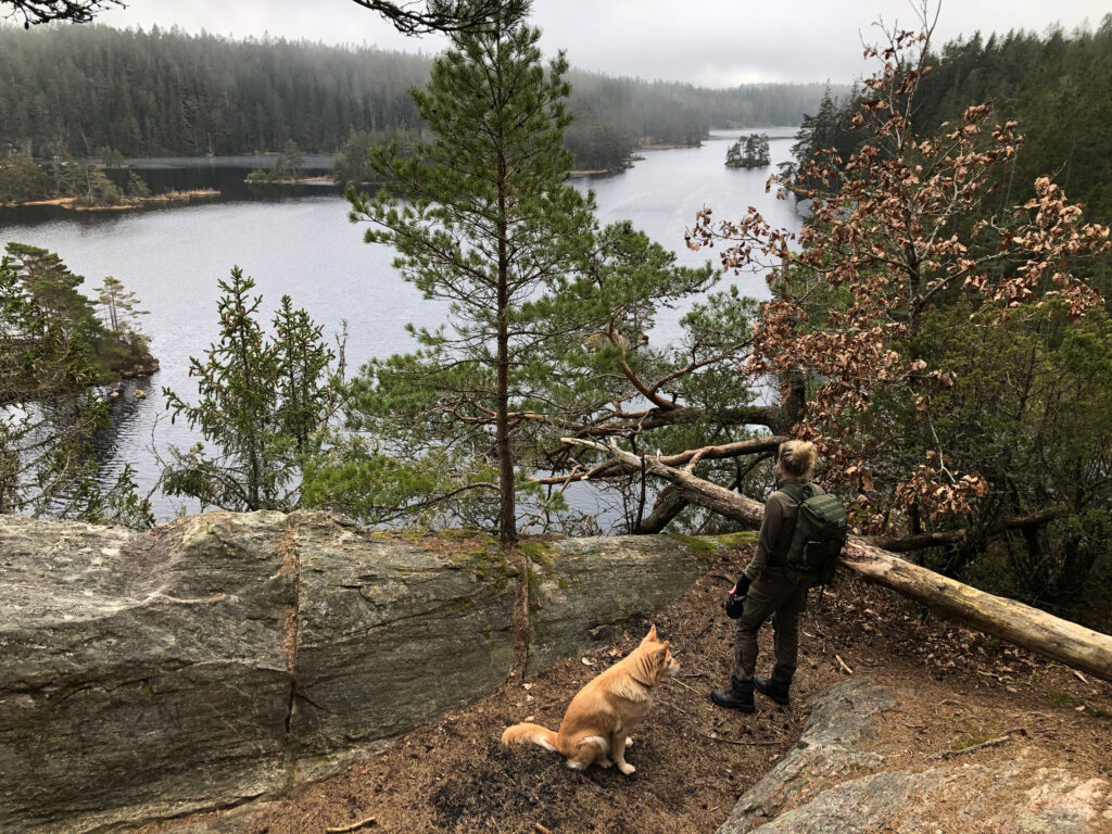 Person med kopplad hund, vid utsikt över sjö och skog. Foto.