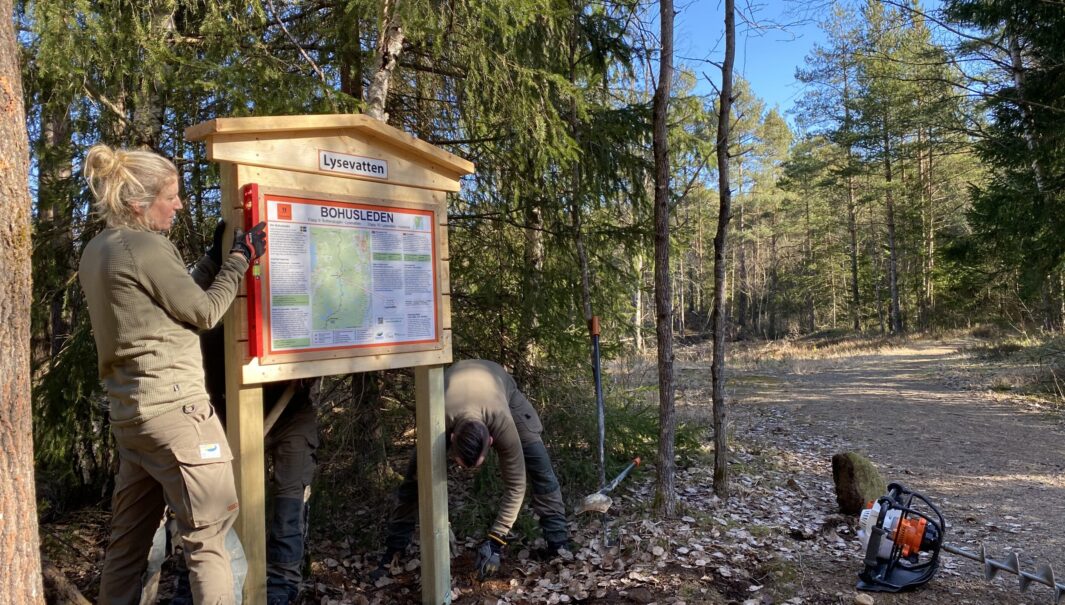 Västkuststiftelsens naturvårdare jobbar