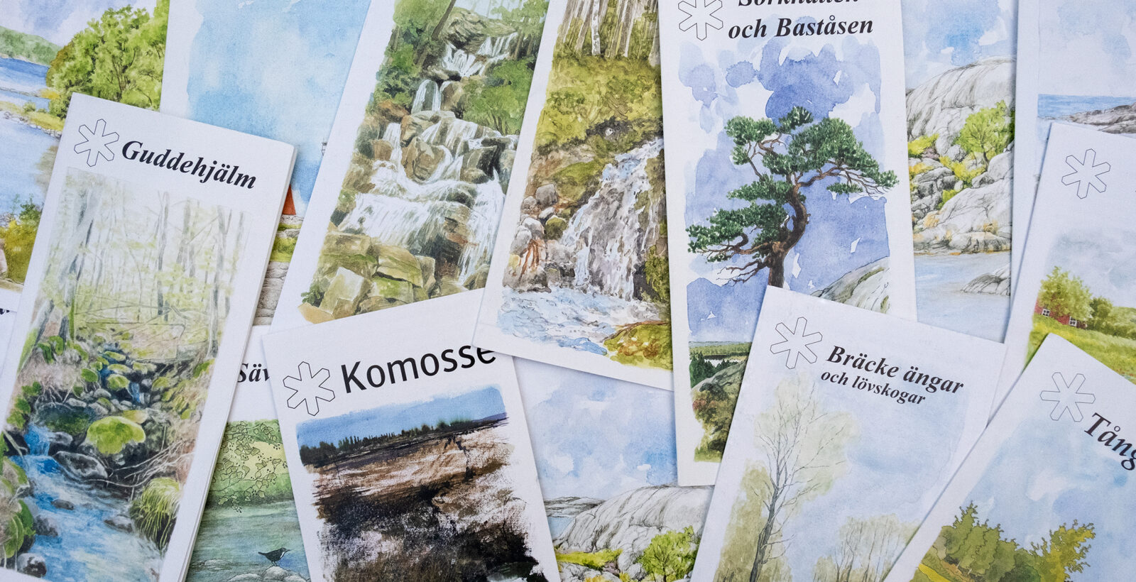 Foldrar med vackra naturillustrationer på framsidan. Foto.
